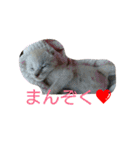 使えるもーみん's（個別スタンプ：23）