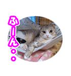 ぽてねこ MOKA（個別スタンプ：9）