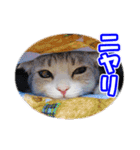 ぽてねこ MOKA（個別スタンプ：11）