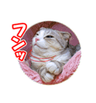 ぽてねこ MOKA（個別スタンプ：13）