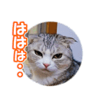 ぽてねこ MOKA（個別スタンプ：14）