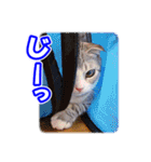 ぽてねこ MOKA（個別スタンプ：21）