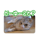 ぽてねこ MOKA（個別スタンプ：24）