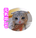 ぽてねこ MOKA（個別スタンプ：25）