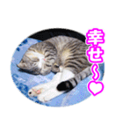 ぽてねこ MOKA（個別スタンプ：26）