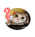 ぽてねこ MOKA（個別スタンプ：30）