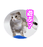 ぽてねこ MOKA（個別スタンプ：31）