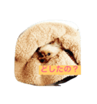 tweny＆eve（個別スタンプ：2）