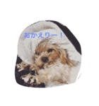 tweny＆eve（個別スタンプ：5）
