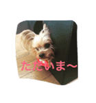 tweny＆eve（個別スタンプ：6）