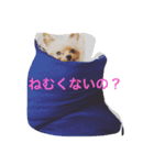 tweny＆eve（個別スタンプ：7）