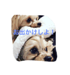 tweny＆eve（個別スタンプ：8）
