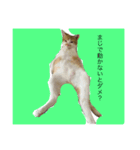 ダラダラ（個別スタンプ：2）