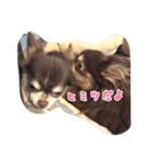 れんじゃーず（個別スタンプ：1）