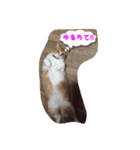 れんじゃーず（個別スタンプ：2）