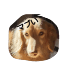 はっぴくりーむ（個別スタンプ：3）