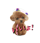 くま犬アム 1（個別スタンプ：10）