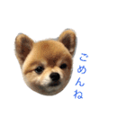 ぽこ太（個別スタンプ：7）