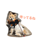 ぽこ太（個別スタンプ：21）