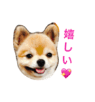 ぽこ太（個別スタンプ：23）
