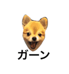 ぽこ太（個別スタンプ：26）