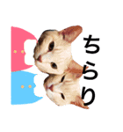 ツナ ビッグキャット（個別スタンプ：2）