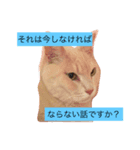 ツナ ビッグキャット（個別スタンプ：6）