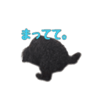 黒トイプードルのアンちゃん（個別スタンプ：13）