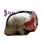 ぐーちゃんとえみちゃん2（個別スタンプ：7）