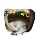 ぐーちゃんとえみちゃん2（個別スタンプ：18）