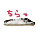 ぐーちゃんとえみちゃん2（個別スタンプ：21）