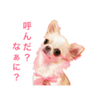 チワワのお友達♡（個別スタンプ：4）