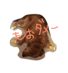 ゴールデンレトリバーダディ（個別スタンプ：8）