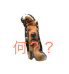 ゴールデンレトリバーダディ（個別スタンプ：9）