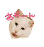 kuromitufam（個別スタンプ：3）