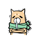 nekosiba（個別スタンプ：33）