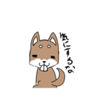 出っ歯犬（個別スタンプ：1）