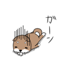 出っ歯犬（個別スタンプ：4）