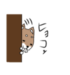 出っ歯犬（個別スタンプ：6）