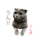 ここめいらんど 2（個別スタンプ：4）