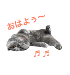 ここめいらんど 2（個別スタンプ：10）