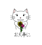 白猫のにゃーこ（個別スタンプ：17）
