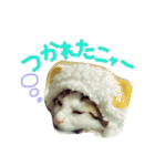 シャロ＆とら＆にゃー（個別スタンプ：21）