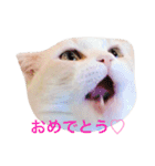 まんまるティアラ（個別スタンプ：4）