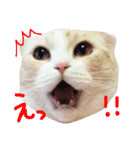 まんまるティアラ（個別スタンプ：10）
