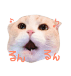 まんまるティアラ（個別スタンプ：11）