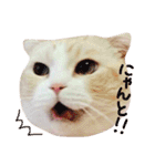 まんまるティアラ（個別スタンプ：15）