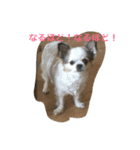 てとてとぶらん（個別スタンプ：6）