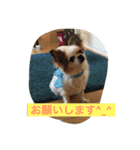 てとてとぶらん（個別スタンプ：12）