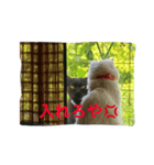 白猫＆黒猫α犬（個別スタンプ：3）